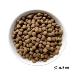 Eat Small EatSmall 2kg Mini Balance Trockenfutter -Tierbedarf Rabatt Geschäft 2fab510faabbdb321240dcdc4e2325f2c9525161 1450725 de DE ef1a1257b12edf1ce0a516e027bab83024c70daeuHLglD