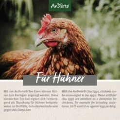 Aniforte Toneier 6er Pack -Tierbedarf Rabatt Geschäft 2fca7168177239da75d03f74fa4a1c77159cd287 1489433 de DE 7085a1a388f1f237d3be86504bf98fc686ff7ec2o1r7t3