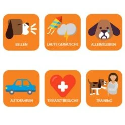 Thundershirt Beruhigungsweste Grau XS 16 Thundershirt Beruhigungsweste Grau XS -Tierbedarf Rabatt Geschäft 2fed8cc150f7c5621bb799936cf5cf63c19d43f5 1102942 6