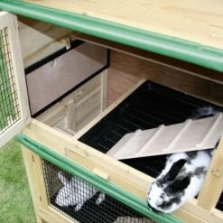 Kerbl Kleintierstall Appartement -Tierbedarf Rabatt Geschäft 2fefb12755f6cb3419ba5e5286e5091028a73780 6f2a43e8e3dc5f03e4faa316fbe185c498a66436