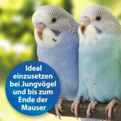 Quiko Plus 400 G: Extra Proteine Für Jungvögel 8 Quiko Plus 400 G: Extra Proteine Für Jungvögel -Tierbedarf Rabatt Geschäft 3190f3828e35083694537fdd840250512177f97d 1386524 de DE a58e247c1fb3092732f92fc759d1dabd3a4811c5GIUhYl