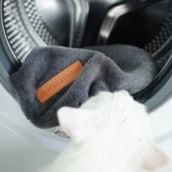 Schlitzohr Ersatzbezug Fensterbankliege -Tierbedarf Rabatt Geschäft 31be77f1e399f6136043e21b4738926da0a2a857 1484678 de DE ef0a822967d19fb8fa7e91c1bd57dd978a972d89UwPMnu