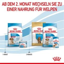 ROYAL CANIN Medium Starter 15 Kg 11 ROYAL CANIN Medium Starter 15 Kg -Tierbedarf Rabatt Geschäft 323c948a6eab33359f3e5764f6ff7e36767b7df3 63bcd70a2b109cfaa9c260c3910751bd53fef802