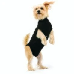 Trovet Hundebody Recovery Suit Schwarz XXS -Tierbedarf Rabatt Geschäft 32b188fe2b1d79c98c3d705ed0768a2dea55c852 c9c58232ac385af15a91fd1318f8583c048209d5