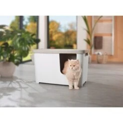 MORE FOR Katzentoilette XXL Titan -Tierbedarf Rabatt Geschäft 331a65ecbdbda6a54304894f23caf93293414f9a 41a7dcb3b92b8da7531785b268f381c1b25bbf04