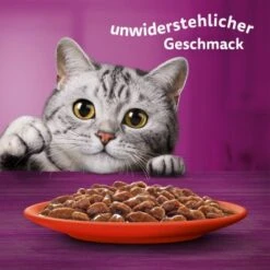 Whiskas Jumbo Pack 1+ Klassische Auswahl In Sauce 80 X 85g -Tierbedarf Rabatt Geschäft 3358e429db606f0ebe5774678dd71494a01905e3 1410721 de DE Whiskas 6