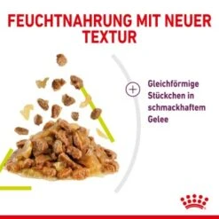 ROYAL CANIN SENSORY Smell In Gelee Für Wählerische Katzen 12x85g -Tierbedarf Rabatt Geschäft 3469e2789c9f64bff26f87bbac39ba0a4ed440ea 45f33cf5dbb691236fc67f7b11a07842abb35bb4