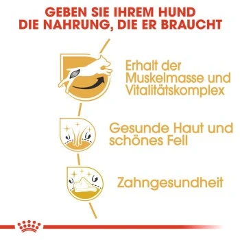 ROYAL CANIN Jack Russell Terrier Adult 7,5 Kg 4 ROYAL CANIN Jack Russell Terrier Adult 7,5 Kg – Bild 4