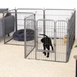 Lionto Freilaufgehege Welpen Gitterfreil 60 Cm, 1 Cm, 80 Cm -Tierbedarf Rabatt Geschäft 36b609c51e916046b581efda5ea6811e2c829bd8 1498016 de DE 794da90c9076c5cc9e9eae67a633691d7c219be8EE6Vlo