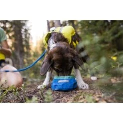 Ruffwear Trail Runner™ Napf -Tierbedarf Rabatt Geschäft 379fe16a7a50c8e71290f739965451bab58f5404 1651571 de DE cc80a2ec211d680722d58d483cd6e35959c0ef22Kohbda