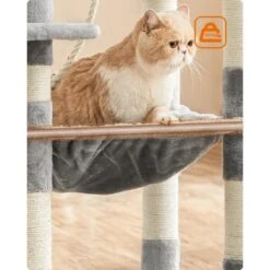 FEANDREA Kratzbaum 143cm Rauchgrau Hellgrau 13 FEANDREA Kratzbaum 143cm Rauchgrau Hellgrau -Tierbedarf Rabatt Geschäft 37be2f2514570ac16abd583e226c37e3942fb95e 1483593 de DE a6645c1e24d592fa2f7e2898455d81c2be2800bf3QlXOx