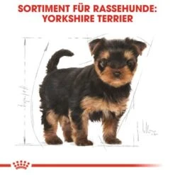 ROYAL CANIN Yorkshire Terrier Puppy 1,5 Kg 14 ROYAL CANIN Yorkshire Terrier Puppy 1,5 Kg -Tierbedarf Rabatt Geschäft 3810ae0a6a04bd78bbca7a7651da4efb954d4b3e 3e3986d33b213064868087e6e9dec0e6991e12be