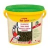 Sera KOI Color L Hauptfutter 3,8l