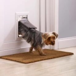 PetSafe Klappe Flexibel Mit Aluminiumrahmen S -Tierbedarf Rabatt Geschäft 3a4c2a19720a9a02b32c92c047cc7d6642c51178 c4fcf5d267163feee43df5581a8f62f90db05124