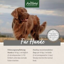 Aniforte Futteröl Premium BARF-Line 250ml -Tierbedarf Rabatt Geschäft 3b87e1fdb89a19cc238c2813f48e11ed20895be4 1422213 de DE 16dc7ac85a711c6a2374115b74cd499573ef1a7aPoICSB