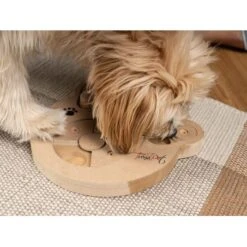 TrendPet Intelligenzspielzeug Intelli -Tierbedarf Rabatt Geschäft 3eb4d41034c0f3313929136157c4052ccd4ea926 1260161 de DE d146e7e756f1415d035fb0f48553c56a33aee61amIbGAB