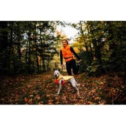 Ruffwear Lumenglow™ High-Vis Hundejacke Orange XL 18 Ruffwear Lumenglow™ High-Vis Hundejacke Orange XL -Tierbedarf Rabatt Geschäft 40663366cb362acd2f222531a6c489c5dd028940 1378153 de DE 6ea16c8681e07ff1404b1bde8c0b1b4ddb6fa478XOeqLy