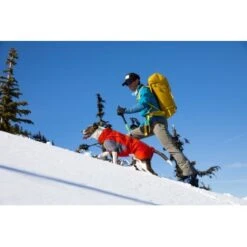 Ruffwear Furness™ Hundejacke Grau S -Tierbedarf Rabatt Geschäft 4087147dd56ca23b69da19a23095df2e3fcf8a0d 1639614 de DE 93126a293d8b745c831f949261942ce96e13bb7etLLUVR