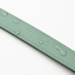 THE DOG IDEA Biothane Halsband Sage S 12 THE DOG IDEA Biothane Halsband Sage S -Tierbedarf Rabatt Geschäft 40e4391cc0734ccbf14e51ec3a7d5f37f0783760 1674165 de DE cb3dd5b17ddd877c6ac1e75a3b6a793fa5187f4civjzmh