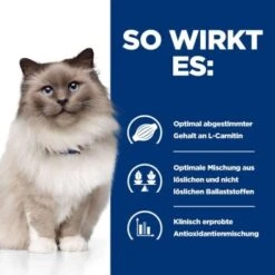 Hill's Prescription Diet Weight Loss R/d Mit Huhn 1,5 Kg 12 Hill's Prescription Diet Weight Loss R/d Mit Huhn 1,5 Kg -Tierbedarf Rabatt Geschäft 4136aeb6e7761220774a7156c9c18f4d4c11e559 e705b74991984d0f27bdc826ecff83edb5fb0b5a