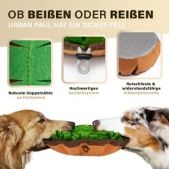 URBAN PAUL Schnüffelteppich - Grün -Tierbedarf Rabatt Geschäft 41b69e30147446053fcf1ef3a5c0ef4e586c3637 1477263 de DE f3d4dc055420076a5d6665754e59033e977ead92pVbA3s