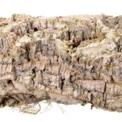 HappyBird Sitzstange Natur Kork L -Tierbedarf Rabatt Geschäft 4219bfe3ca891eef1cb492a7d523955c5a87acdb 1416844 de DE 36da01729119466b9455d5ee60fee4c9e37394097Q8Hd8