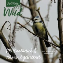 Aniforte Wild Soldatenfliegenlarven 800g -Tierbedarf Rabatt Geschäft 4246f992a1ca5c50075882f2b9686395cad54c9c 1659553 de DE 50da6f1e43ee61d2579ae1235b99a471b4d246e4Y4I3vP