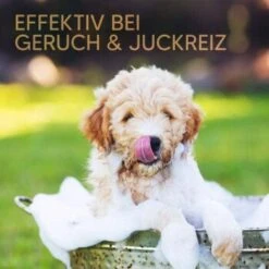 Pawlie's Welpenshampoo -Tierbedarf Rabatt Geschäft 42f9c58257fb2002e5c33c2d81bd829c9adeb1cc 1626204 de DE 8b17d3990cf88ea437c76c60b6848183bc9636a5a44ihJ