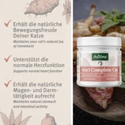 Aniforte 4in1 Complete Cat 60g -Tierbedarf Rabatt Geschäft 433174568e18224fd341b5ca349c776d85d96ab2 1332844 de DE 0aa93cc915c5d5bb812b052b88179a1f5f51f297zDGJEt