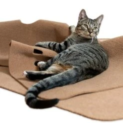 Canadian Cat Company Spielteppich Für Katzen Braun -Tierbedarf Rabatt Geschäft 446d45749f5e58cb5a7dbc00eb3558dbe40784fe 1394213 de DE 80770b9625226d955903498b97e7018485822aeeDB3L2u