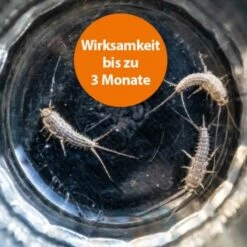 Ardap Silberfischchen Köderdose 4er Pack -Tierbedarf Rabatt Geschäft 44c38352a1e90439028a6a399a6d84d856169da4 1491615 de DE 6352379a7404bc513d6bcf3313a7de6b9673dd65mT3bI3