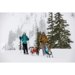 Ruffwear Vert™ Hundejacke Blau/ Türkis XS 19 Ruffwear Vert™ Hundejacke Blau/ Türkis XS -Tierbedarf Rabatt Geschäft 4884d1fb308119bdbd85338ca39d0360fc2661ed 1369612 de DE 011ac430af1497c1c9abc3b9ca96058ddb34571cXmp5YY