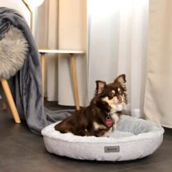 Lionto Rundes Hundebett Grau S 9 Lionto Rundes Hundebett Grau S -Tierbedarf Rabatt Geschäft 495319c5e5d302912b44d9c5eec4bf5d9f8545a8 1657076 de DE aa318acd7ce25545f999031d1739d15f3d8316c0wpiYjz