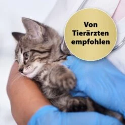 Felisept Home Comfort Beruhigungshalsband Für Katzen -Tierbedarf Rabatt Geschäft 49f63f3eec6617dbc795d98ab15477ddca010d3a 1238279 de DE Felisept 2