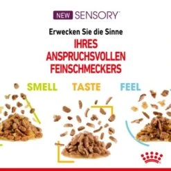 ROYAL CANIN SENSORY Smell In Gelee Für Wählerische Katzen 12x85g -Tierbedarf Rabatt Geschäft 4a632532d23d065e189b82401db5c561b6749e74 bbe7e159ee2cfcc0155771b211da953377ec5c40