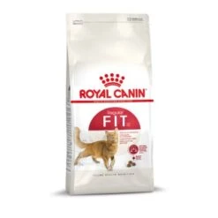 ROYAL CANIN Fit 32 10 Kg -Tierbedarf Rabatt Geschäft 4ac867f367eb7bcfde3ab5b917403f573f69dc83 1003122001 de DE fit