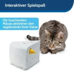 PetSafe Automatisches Katzenspielzeug Cheese -Tierbedarf Rabatt Geschäft 4bf213762b84458348ad4dde222bccd0d8e6f0a8 1418723 de DE 66b781419c3a9a05dbaecf1b142c67f8ea6f21fbRLCfdd