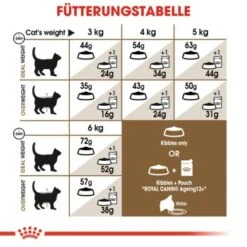 ROYAL CANIN Ageing 12+ Sterilised 4 Kg -Tierbedarf Rabatt Geschäft 4ce8eb38a167b532004afcb21e5f40042d29ae5a 1201903453cc527013bd50d4537b9f7016918cfe