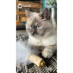 Kater Kasimir Deluxe Set Mit 9 Beliebten Katzenspielzeugen Aus Naturmaterial Und Handgemachtem CATDAD Armband -Tierbedarf Rabatt Geschäft 4d777484de5457a02028f595b53fdb1b69e309d7 1408151 de DE 911e17a5e45692f3789ac8bc9aee946048898d74SkrQo3