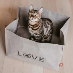 Canadian Cat Company Katzenbett Winnipeg -Tierbedarf Rabatt Geschäft 4f163c23f3c00759be25633fb22100eb50b10eed 1360995 de DE e27163ea0c21fd571c9e22268b69a4d1b68affe5UBt2yy