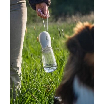 Lionto Hundetrinkflasche Für Unterwegs Grau 0,5 Cm³ 2 Lionto Hundetrinkflasche Für Unterwegs Grau 0,5 Cm³ – Bild 2