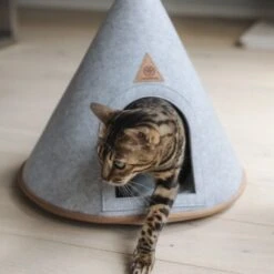 Canadian Cat Company Katzenzelt Cone -Tierbedarf Rabatt Geschäft 5109d27ef761061b6b743871ab0498da3478f504 1394210 de DE f112ffaf078c6f8bf03764511a0d90aab2c21021HdDAgd
