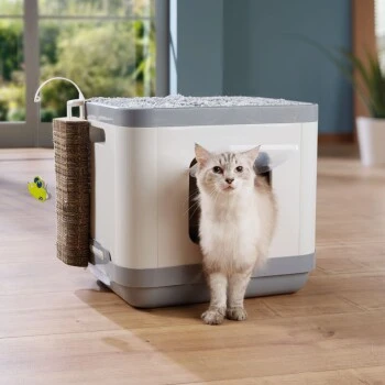 AniOne Moderna Katzentoilette Konzept 3in1 1 AniOne Moderna Katzentoilette Konzept 3in1