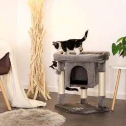 Lionto Kratzbaum 60 Cm Dunkelgrau -Tierbedarf Rabatt Geschäft 54d2a2b2f0f85b4c59d70d90b3af4b4a58719f22 1657014 de DE 61b72444bd03e0597d0ec1256f587f38f03d3f6dXYdqkl