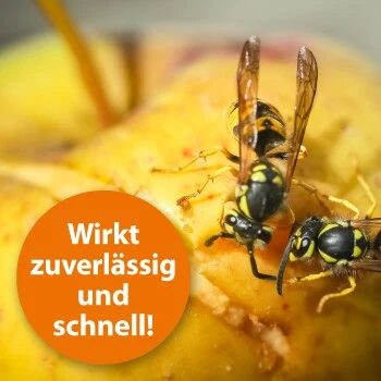 Ardap Wespenschaum 300ml 2 Ardap Wespenschaum 300ml – Bild 2