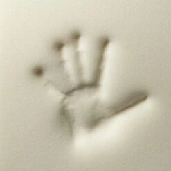 Rexproduct Otto Orthopädisches Hundebett Dunkelblau S-XL Dunkelgrün S -Tierbedarf Rabatt Geschäft 570349f41587d31b10a65c2e1f7c454db29b39b9 1499832 de DE 4a05f204198aead29f7c6fcb2b828fd649f99213DTOwd2