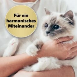 Felisept Home Comfort Beruhigungshalsband Für Katzen -Tierbedarf Rabatt Geschäft 574303903dde56f431dde40c826ce9e872cfd1ae 1238279 de DE Felisept 4