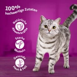 Whiskas Mega Pack 1+ Klassische Auswahl In Sauce 40 X 85g -Tierbedarf Rabatt Geschäft 577d6a35462bd69442d57b06ef0f51e82f851a3a 1410718 de DE Whiskas2 1
