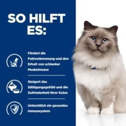 Hill's Prescription Diet Weight Loss R/d Mit Huhn 1,5 Kg 11 Hill's Prescription Diet Weight Loss R/d Mit Huhn 1,5 Kg -Tierbedarf Rabatt Geschäft 57b0b500178925881ec20cae281495453615ab0b 26de2a9eaecf697777195031c030845325fcd2f9