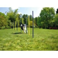 AniOne Agility Set 17 AniOne Agility Set -Tierbedarf Rabatt Geschäft 57d0a4066068001e9199a8836922b7a9a69a9a13 5b90fc3282e3f36a151043eb4999c7a431fb4558